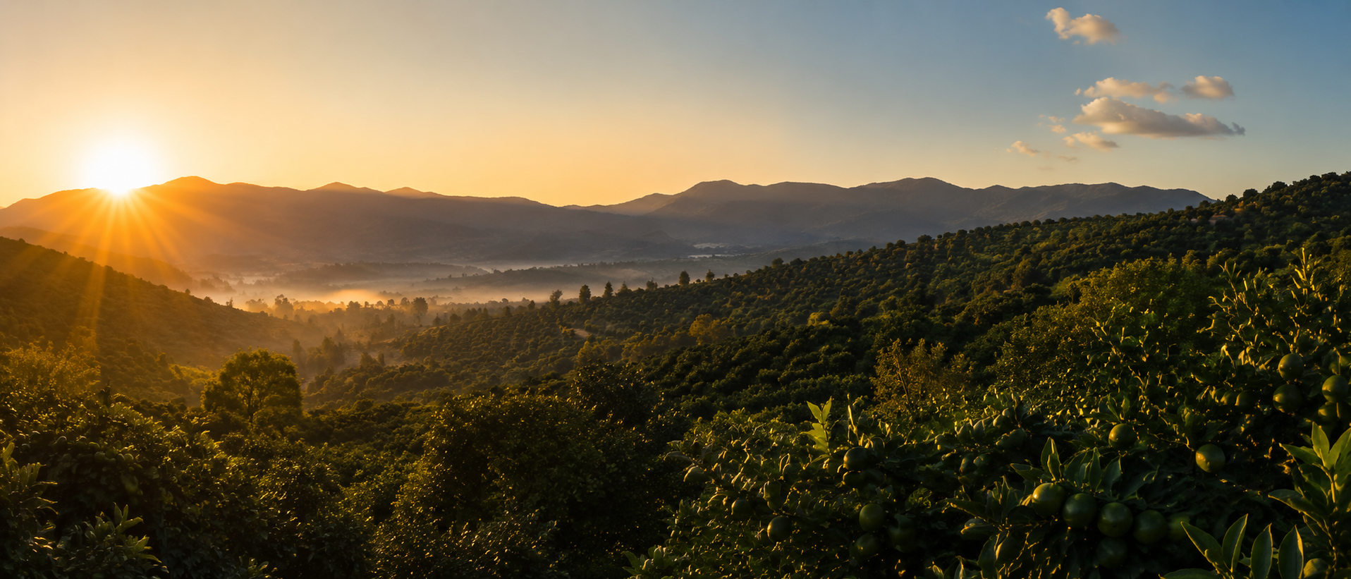 Michoacán countryside at dawn — the roots of the family